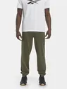 Брюки спортивные Reebok Ri Vector Knit Trackpant