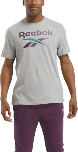 Футболка мужская REEBOK IDENTITY BIG LOGO TEE, Reebok-0