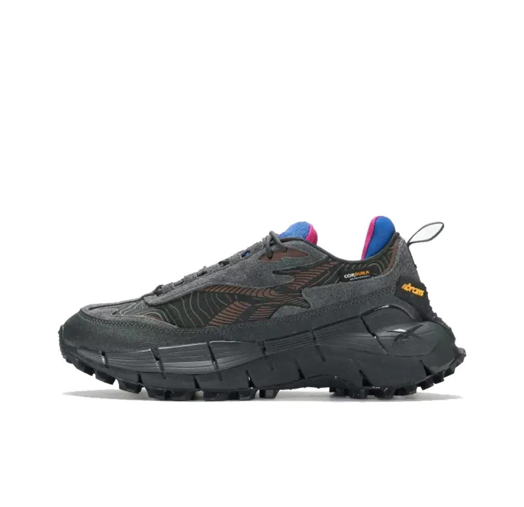 Кроссовки Reebok Zig Kinetica 2.5 'Pure Grey Vector Blue' 100033180