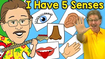 У меня пять чувств Джек Хартманн Senses Song