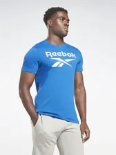 Футболка Reebok Ri Big Logo Tee