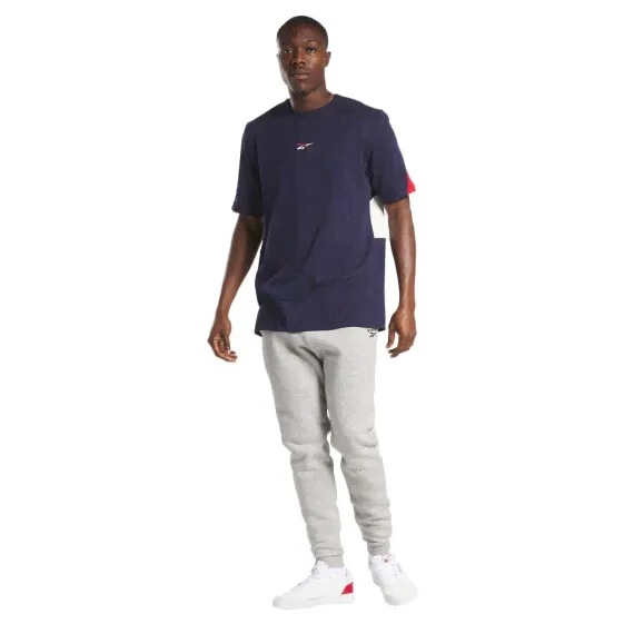 Футболка мужская Reebok Classics Proud-2