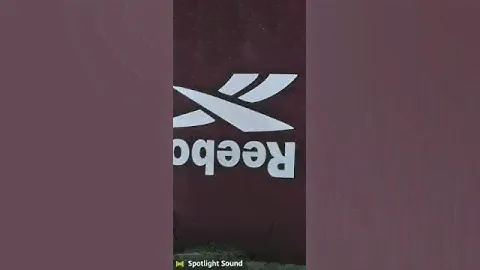 Reebok Logo printing T-Shirts