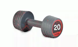 Гантели 20 кг (пара) Reebok RSWT-10070