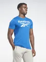 Футболка Reebok Ri Big Logo Tee