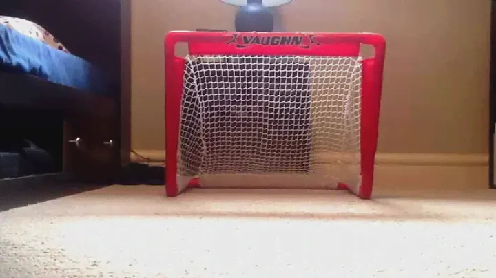 Shooting With My REEBOK RIBCOR MiniStick.