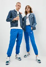 Брюки спортивные Reebok Classic, Синий, CL F FR TRACKPANT