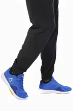 Брюки TE WVN C LINED PANT Reebok DW3877 (lpn7282922)