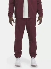 Брюки спортивные Reebok Cl Vector Trackpant