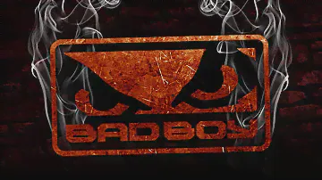 ОТЛИЧНЫЕ ШОРТЫ Bad Boy ДЛЯ ММА ИЗ КИТАЯ С АЛИЭКСПРЕСС.